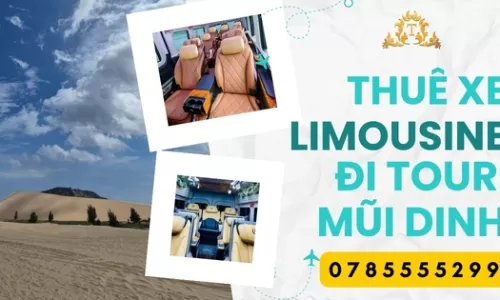 Thuê xe Limousine đi tour Mũi Dinh