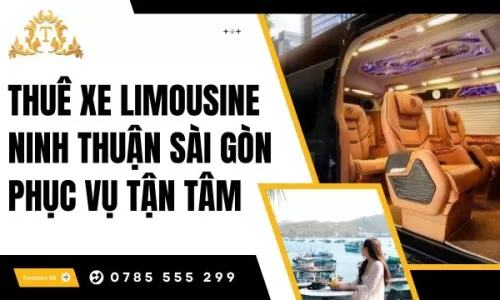 Thuê xe Limousine Ninh Thuận Sài Gòn phục vụ tận tâm