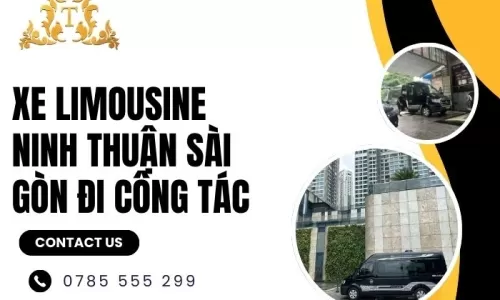 Xe limousine Ninh Thuận Sài Gòn đi công tác